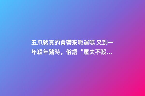 五爪豬真的會帶來呃運嗎 又到一年殺年豬時，俗語“屠夫不殺五爪豬”啥意思？你怎么看？-第1張-觀點-玄機派